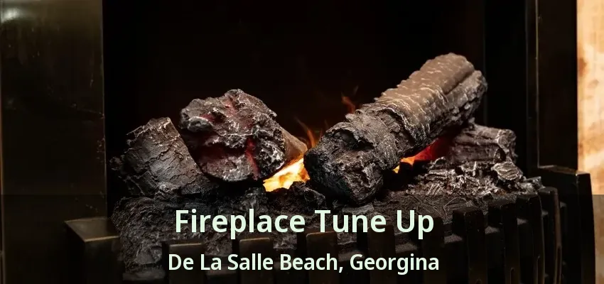 Fireplace Tune Up De La Salle Beach, Georgina - ON