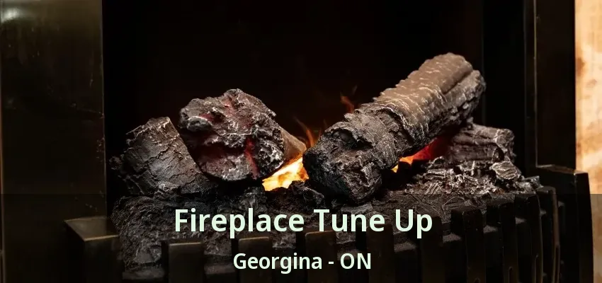 Fireplace Tune Up Georgina - ON Fireplace Tune Up Georgina - ON