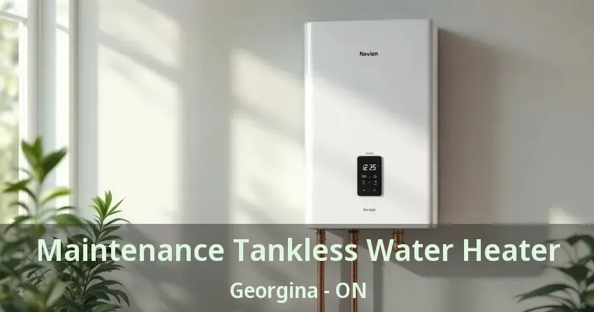 Maintenance Tankless Water Heater Georgina - ON Maintenance Tankless Water Heater Georgina - ON