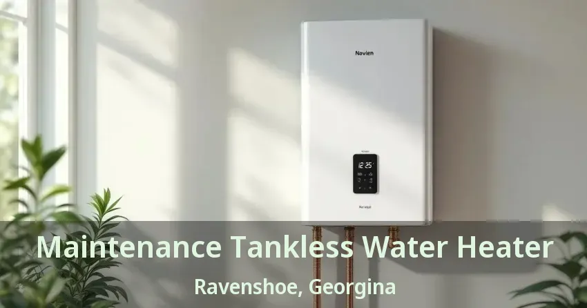 Maintenance Tankless Water Heater Ravenshoe, Georgina - ON Maintenance Tankless Water Heater Ravenshoe, Georgina - ON