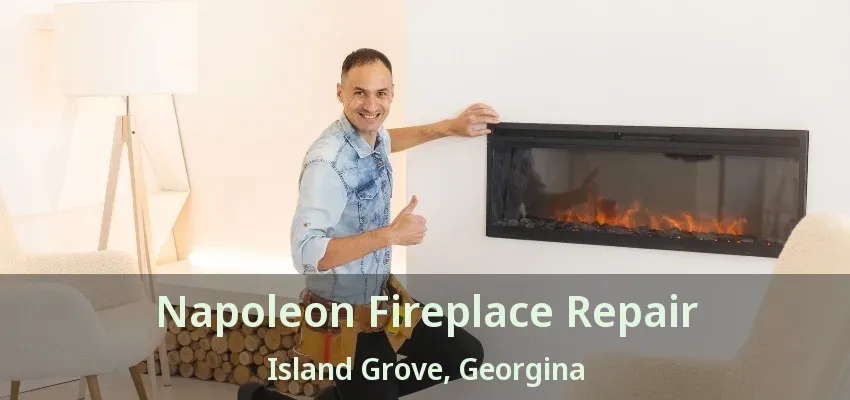 Napoleon Fireplace Repair Island Grove, Georgina - ON Napoleon Fireplace Repair Island Grove, Georgina - ON