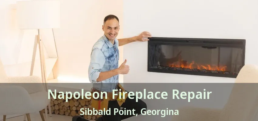 Napoleon Fireplace Repair Sibbald Point, Georgina - ON Napoleon Fireplace Repair Sibbald Point, Georgina - ON