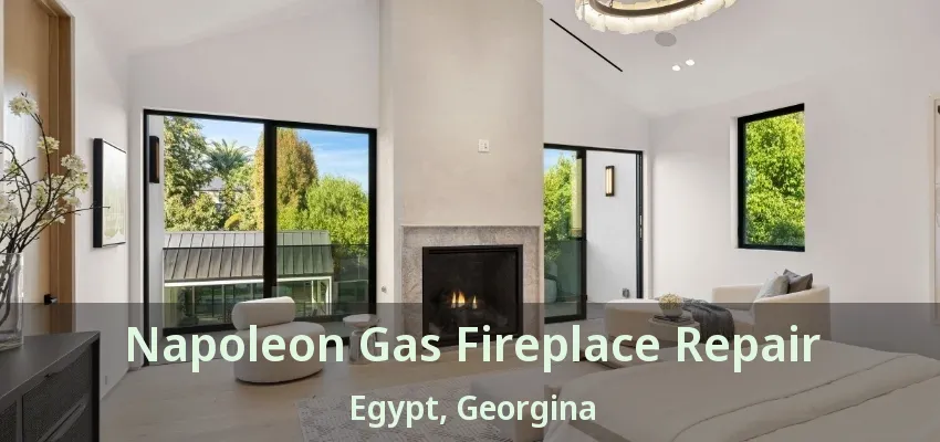 Napoleon Gas Fireplace Repair Egypt, Georgina - ON Napoleon Gas Fireplace Repair Egypt, Georgina - ON
