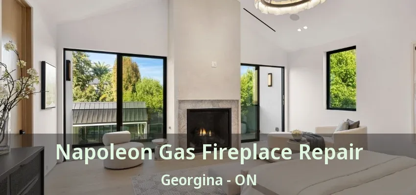 Napoleon Gas Fireplace Repair Georgina - ON Napoleon Gas Fireplace Repair Georgina - ON