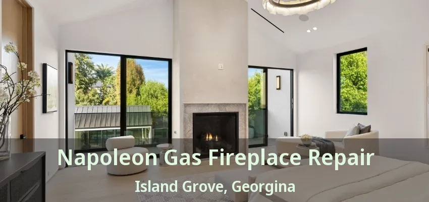 Napoleon Gas Fireplace Repair Island Grove, Georgina - ON Napoleon Gas Fireplace Repair Island Grove, Georgina - ON
