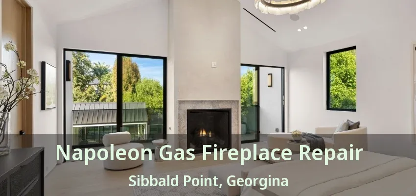 Napoleon Gas Fireplace Repair Sibbald Point, Georgina - ON Napoleon Gas Fireplace Repair Sibbald Point, Georgina - ON