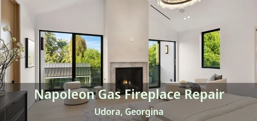 Napoleon Gas Fireplace Repair Udora, Georgina - ON Napoleon Gas Fireplace Repair Udora, Georgina - ON