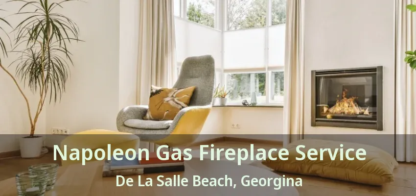 Napoleon Gas Fireplace Service De La Salle Beach, Georgina - ON