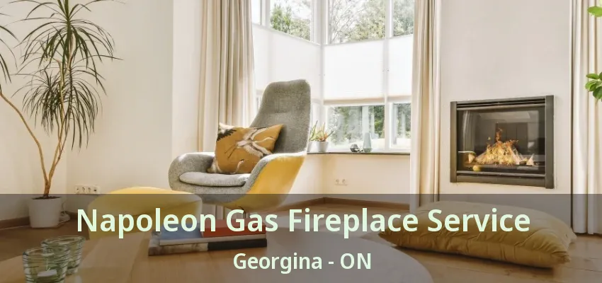 Napoleon Gas Fireplace Service Georgina - ON Napoleon Gas Fireplace Service Georgina - ON