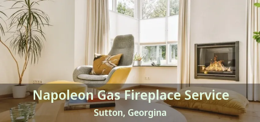 Napoleon Gas Fireplace Service Sutton, Georgina - ON Napoleon Gas Fireplace Service Sutton, Georgina - ON