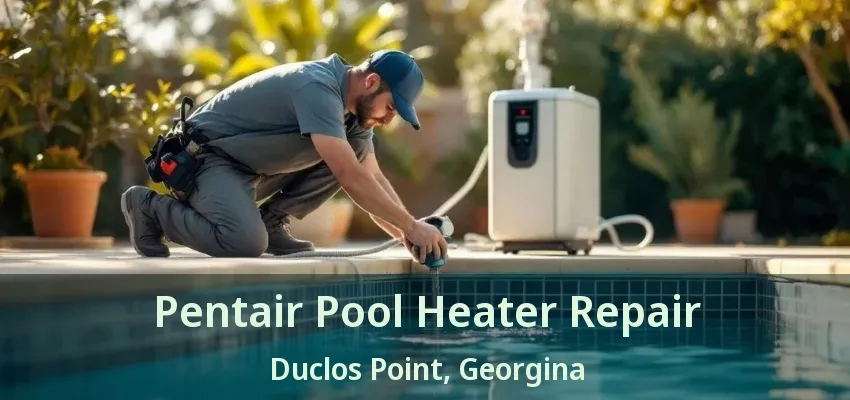 Pentair Pool Heater Repair Duclos Point, Georgina - ON Pentair Pool Heater Repair Duclos Point, Georgina - ON