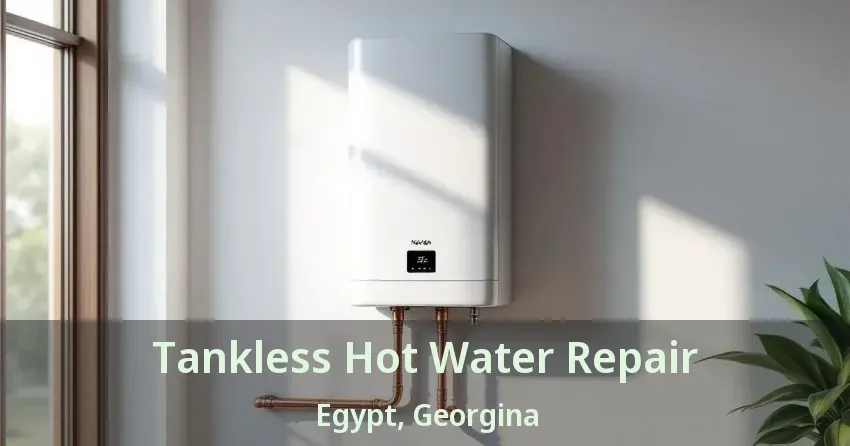 Tankless Hot Water Repair Egypt, Georgina - ON Tankless Hot Water Repair Egypt, Georgina - ON