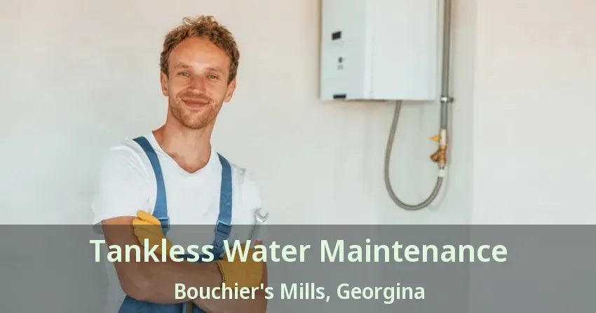 Tankless Water Maintenance Bouchier's Mills, Georgina - ON Tankless Water Maintenance Bouchier's Mills, Georgina - ON
