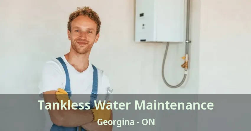 Tankless Water Maintenance Georgina - ON Tankless Water Maintenance Georgina - ON