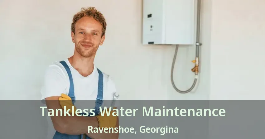Tankless Water Maintenance Ravenshoe, Georgina - ON Tankless Water Maintenance Ravenshoe, Georgina - ON